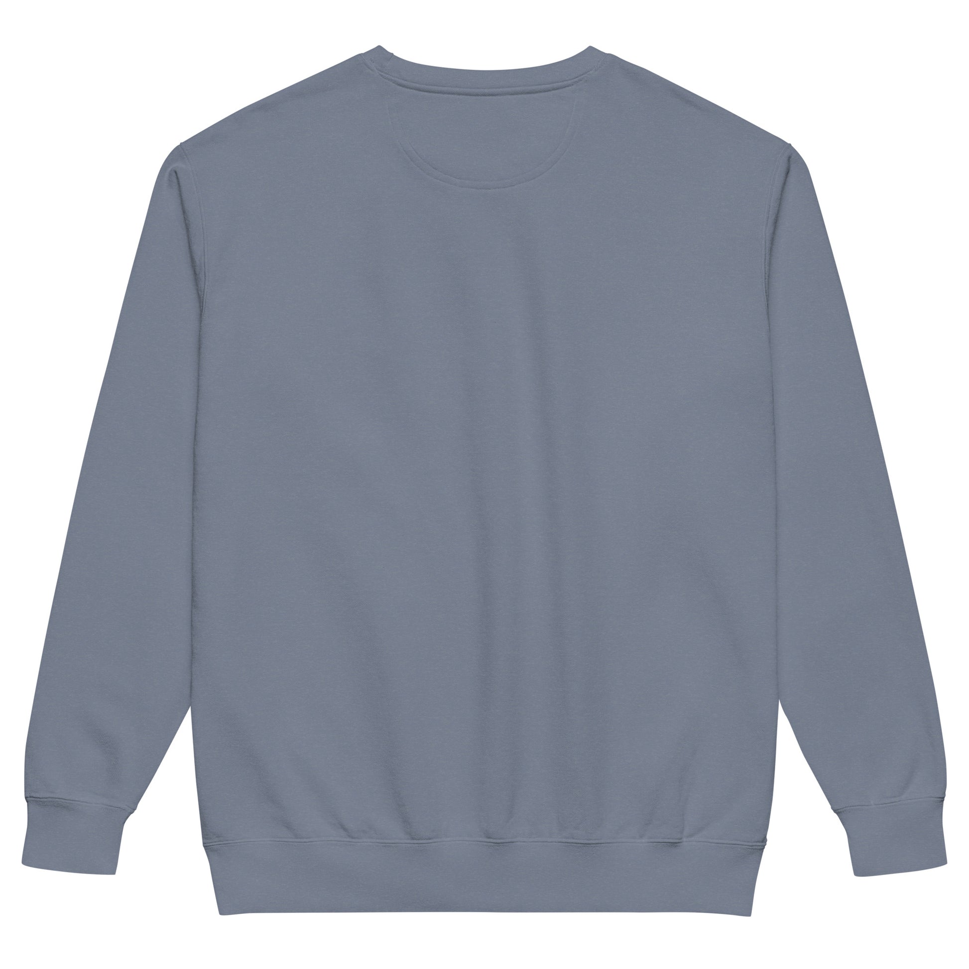 Sometimes they fly pickleball/comfort sweatshirt blue jean