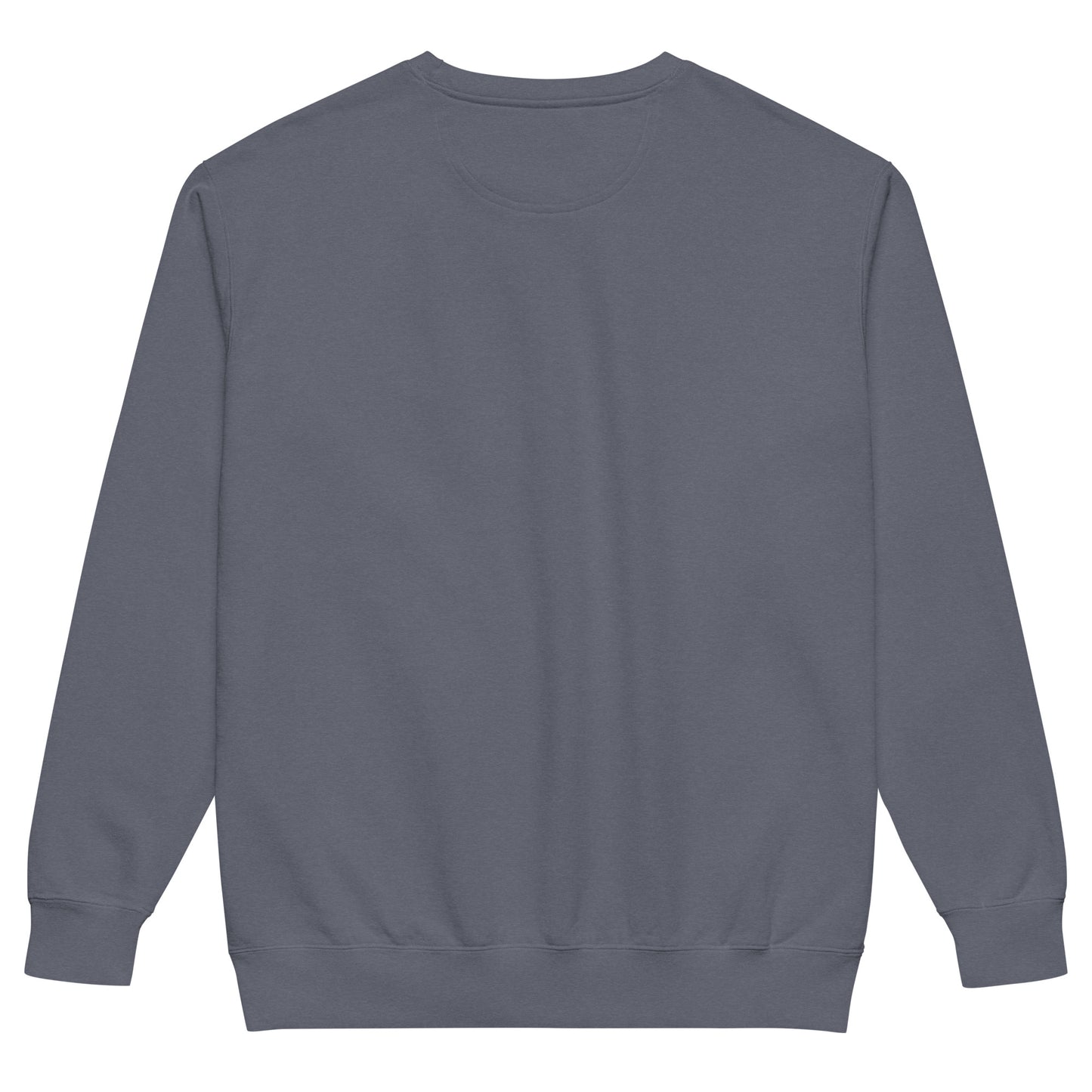 Sometimes they fly pickleball/comfort sweatshirt denim blue 