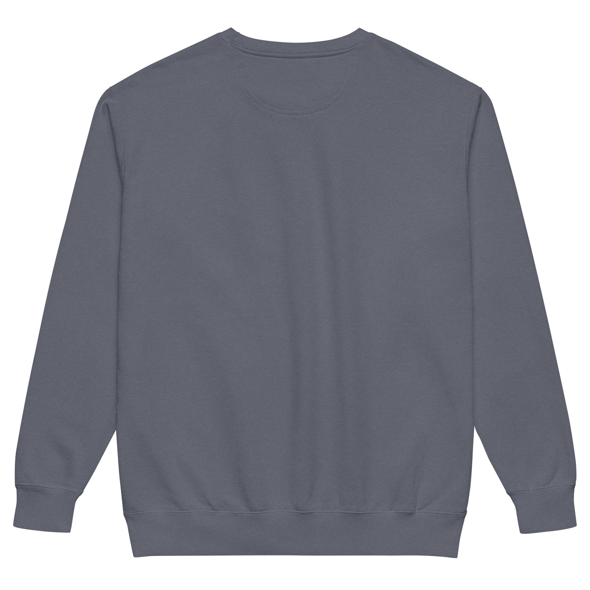 Sometimes they fly pickleball/comfort sweatshirt denim blue 