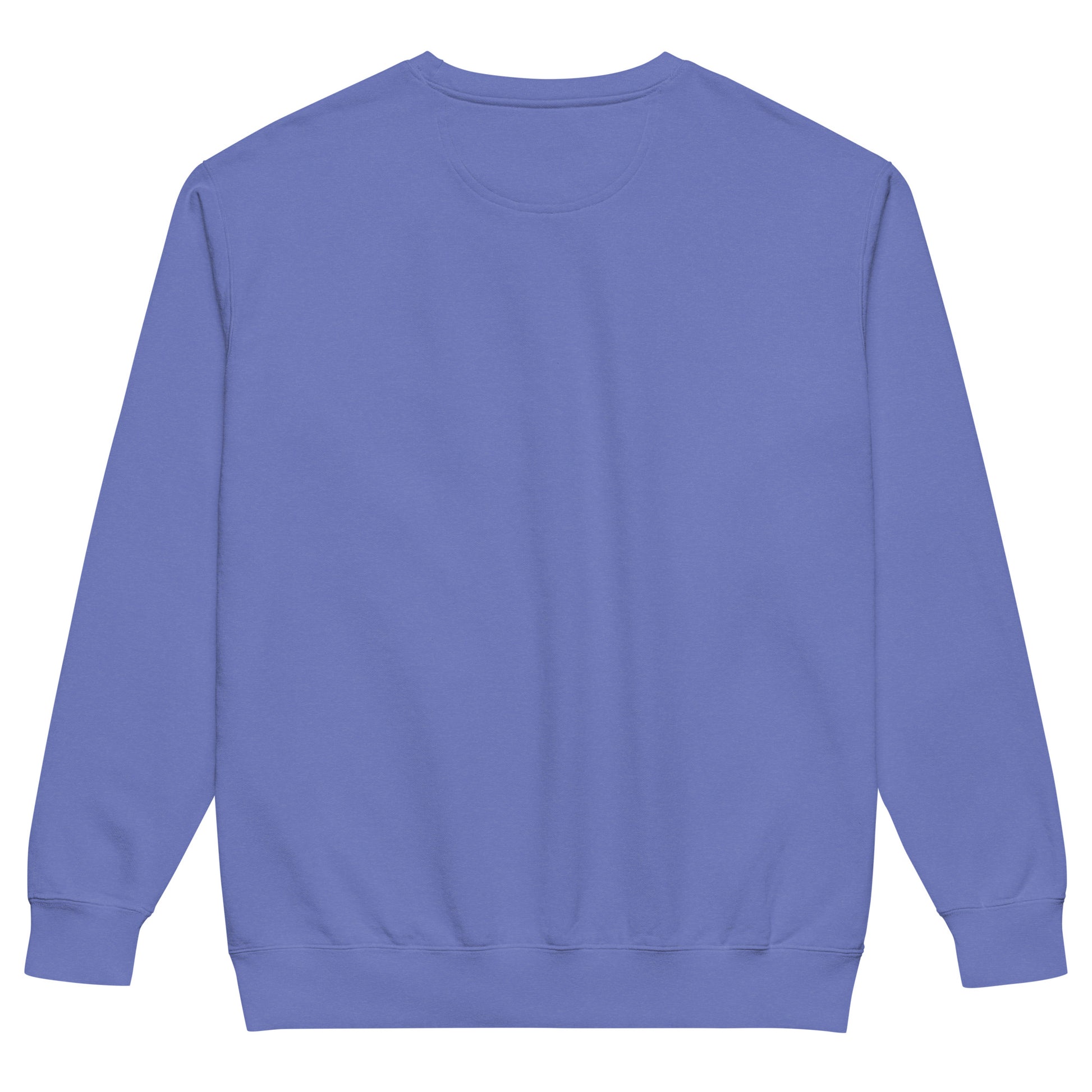 Sometimes they fly pickleball/comfort sweatshirt Flo blue 