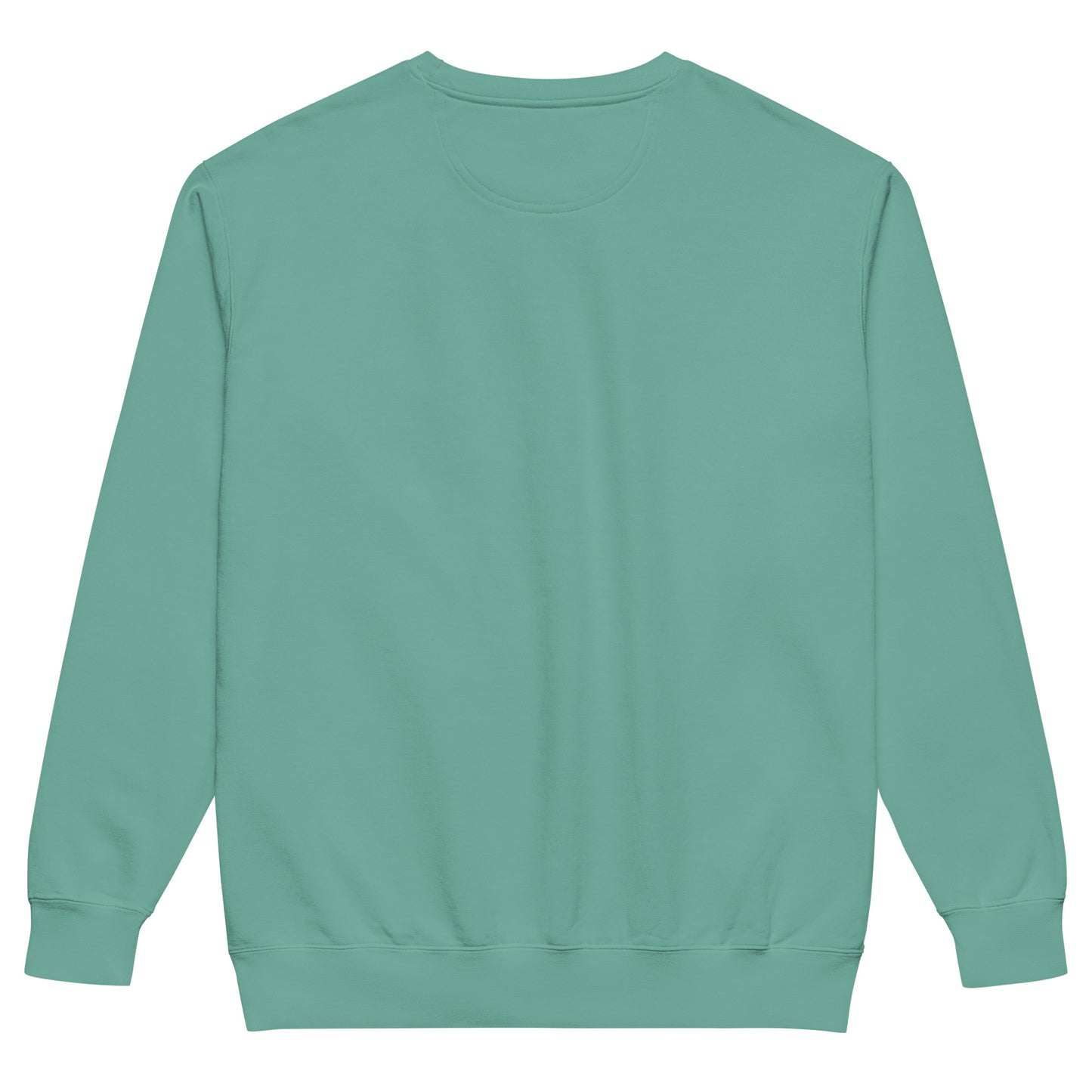 Sometimes they fly pickleball/comfort sweatshirt seafoam