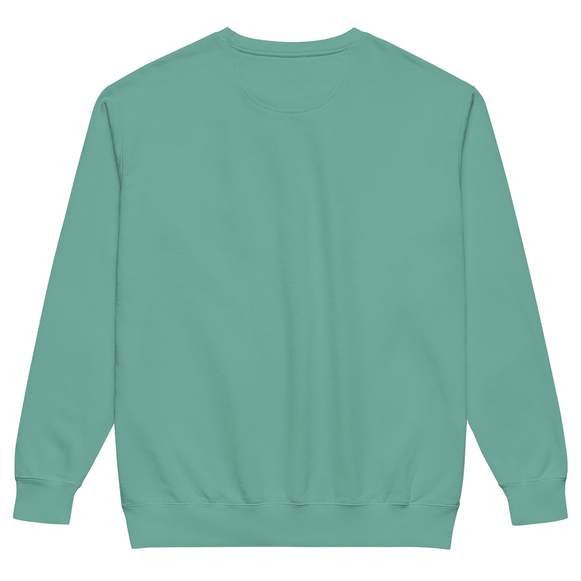 Sometimes they fly pickleball/comfort sweatshirt seafoam