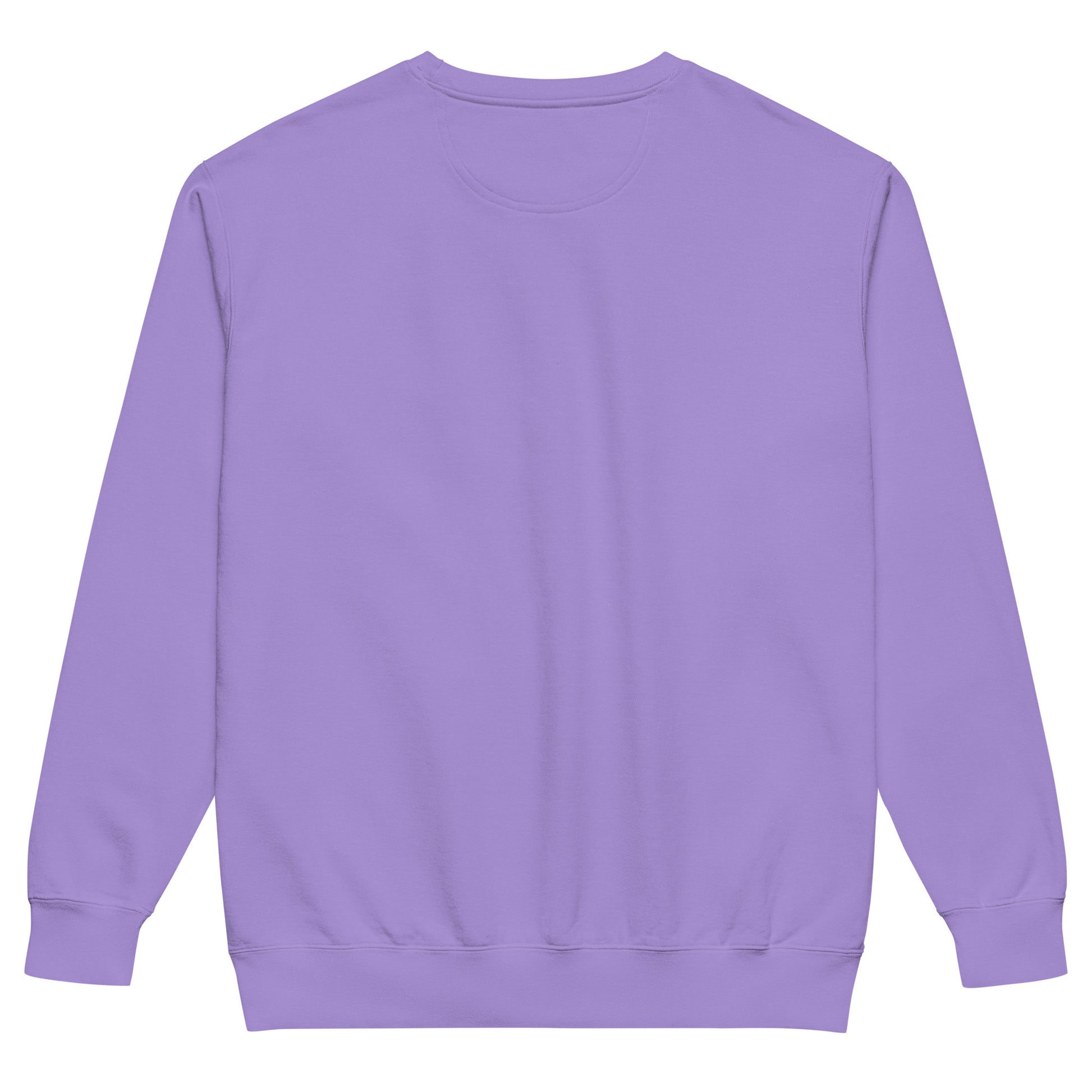 Sometimes they fly pickleball/comfort sweatshirt violet 